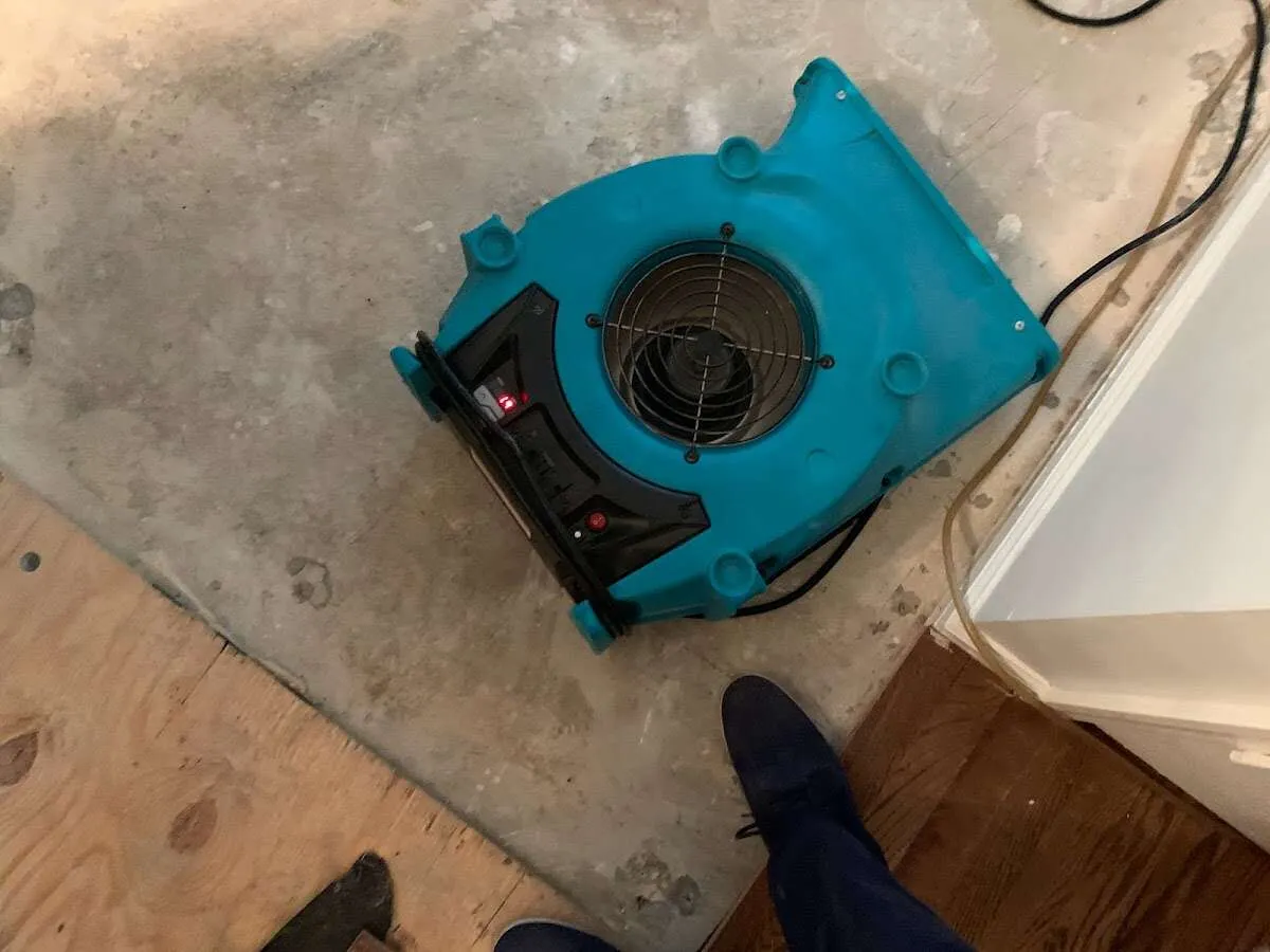 Air mover drying subfloor during Leak Detection & Repair in Fort Hunt